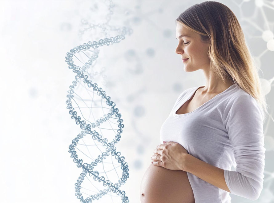 Orthobros Folmega - Gebelik Döneminde Bilimsel Destek, Anneliğe Güvenli Başlangıç